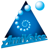 AmiVoice